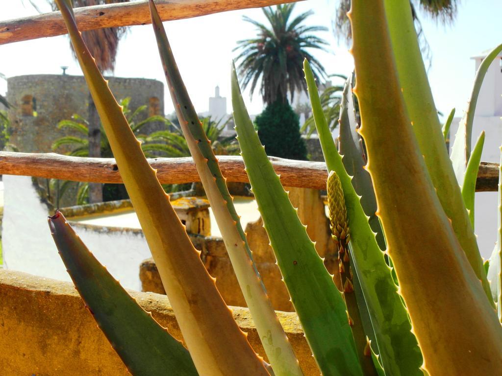 Patio De La Luna